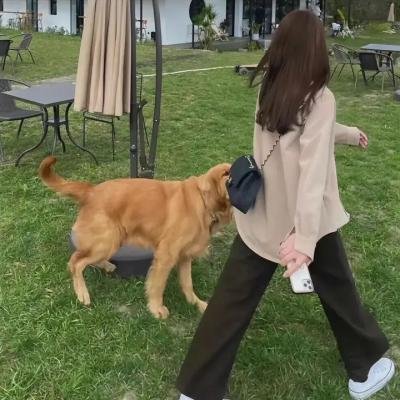 天之骄子